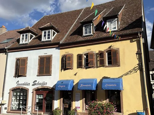 Immeuble de rapport 12 pièces 221 m²