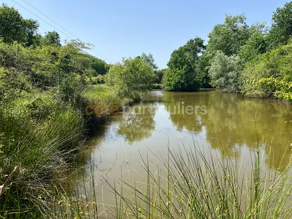 Propriété naturelle d'env. 6 hectares; à 10 minutes de Sully-sur-Loire (45)