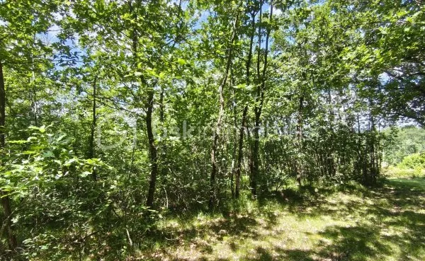 Terrain 1428 m²