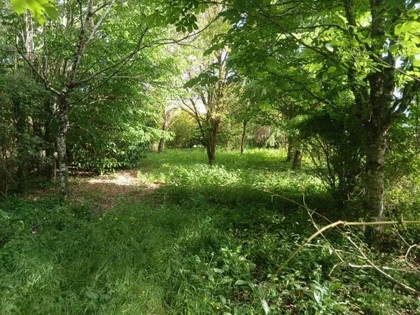 Terrain 3135 m²