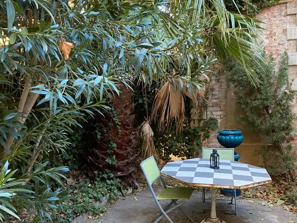 Beau T1 avec jardin place des Carmes