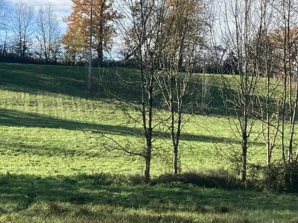 Terrain constructible 6950 m²