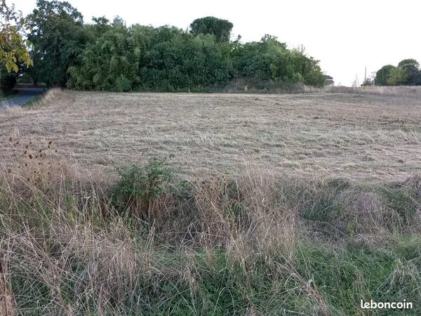 Terrain constructible