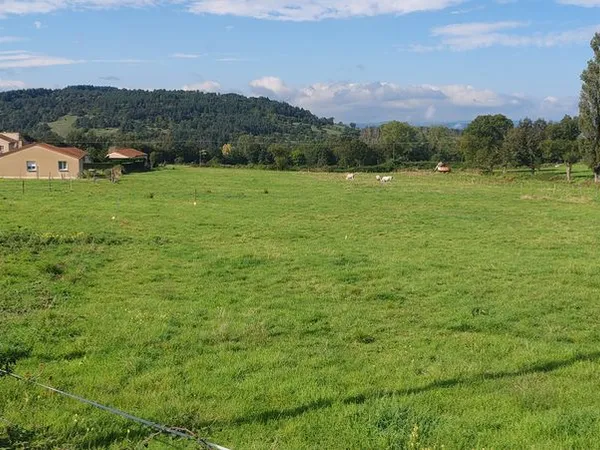 43300 MAZEYRAT D'ALLIER beau terrain à bâtir de 9228 m2