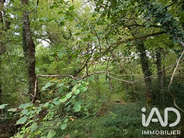 Terrain 8100 m²