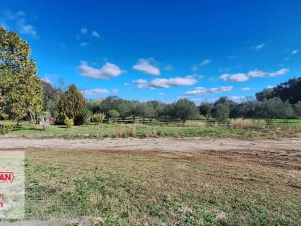 Terrain constructible 1183 m²