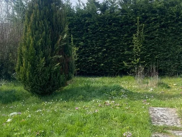 Terrain 296 m²