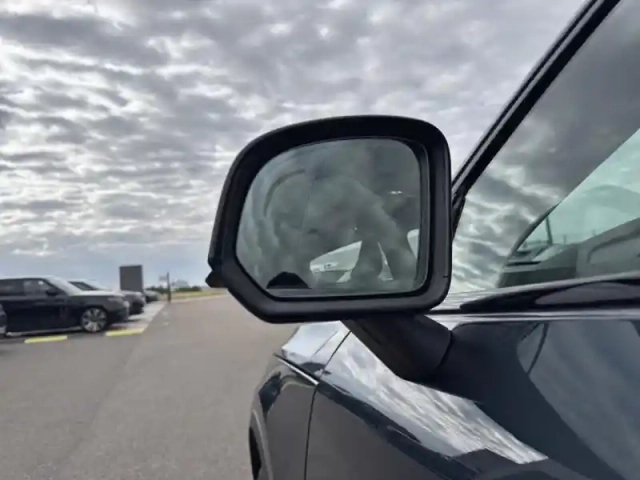 Volvo C40 e single extended range 252ch black edition — photo 13