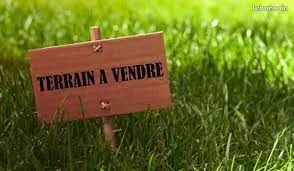 Terrain libre de constructeur