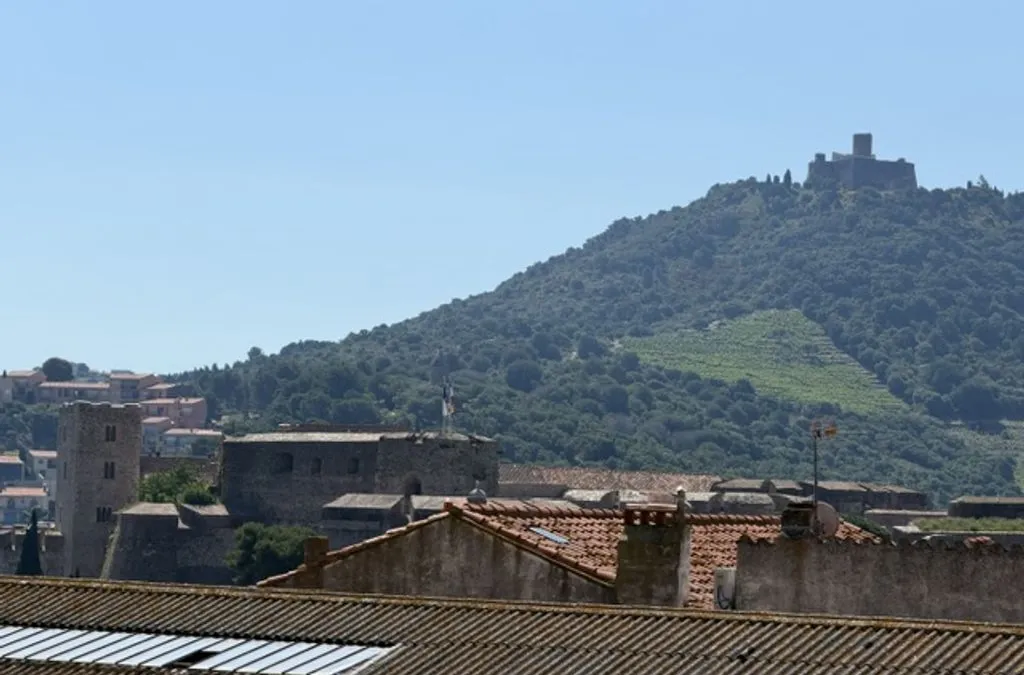 Photo 4