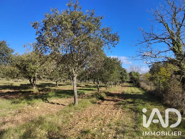 Terrain 6000 m²