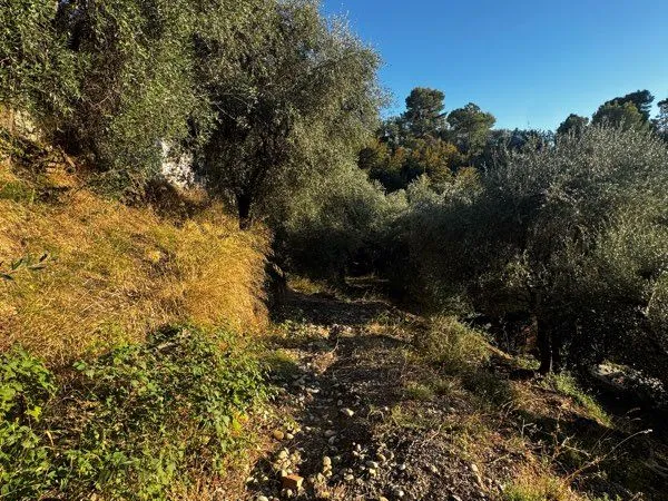 Terrain à vendre