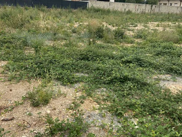 Terrain constructible