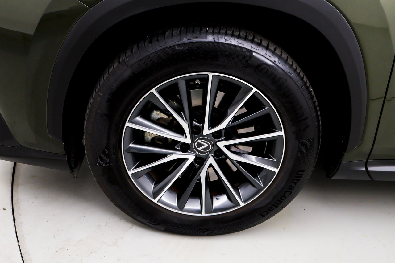 Lexus NX — photo 10