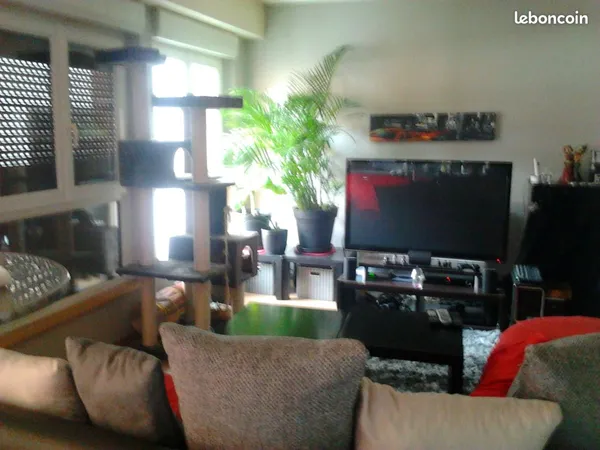 Appartement Location Sélestat 1p 30m² 460€