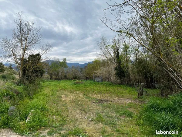Terrain agricole arboré de près de 6000 m2