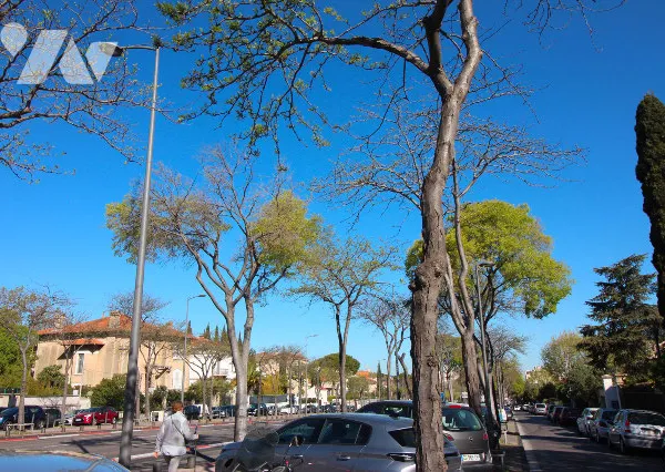 Maison 5 pièces 130 m²