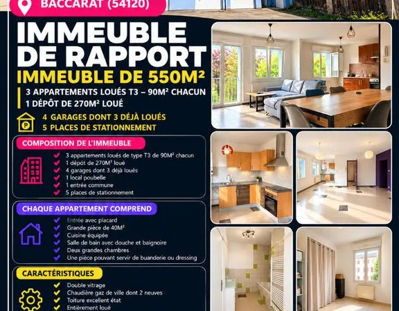 Immeuble de rapport 10 pièces 550 m²