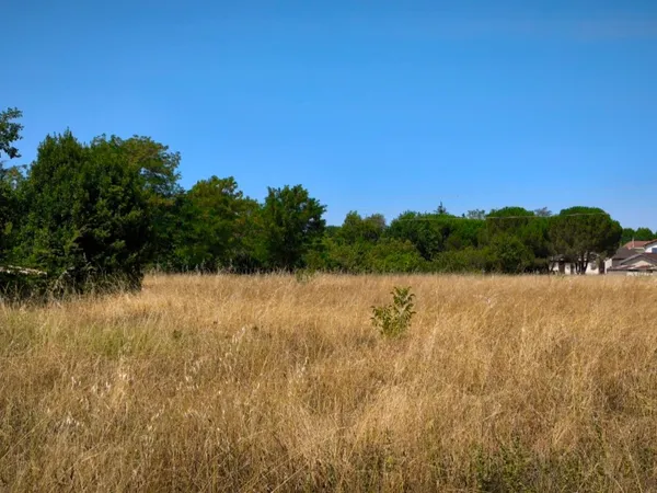 Terrain 298 m²