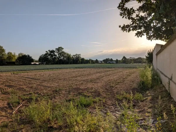 Terrain 1000 m²