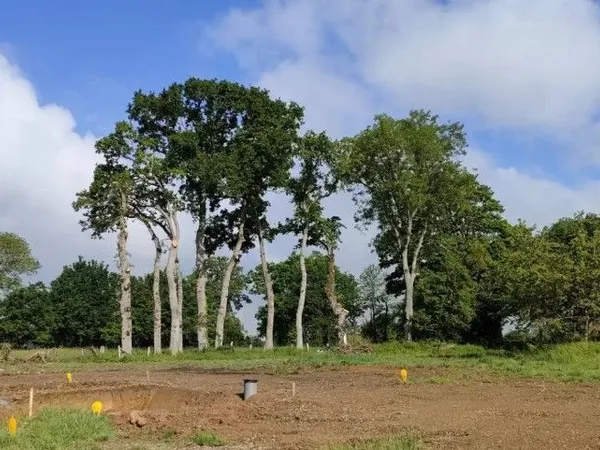 Terrain à bâtir de 659 m² à ANDOUILLE-NEUVILLE (35)