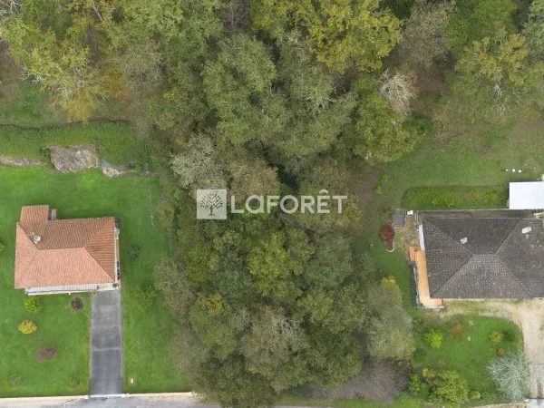 Terrain 2445 m²