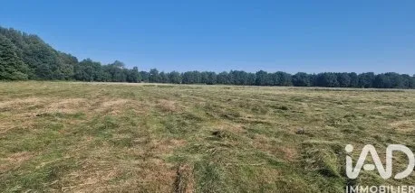 Terrain 139996 m²