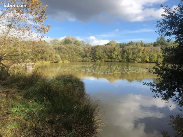 Plan d'eau Vente Campénéac 20000m² 50000€