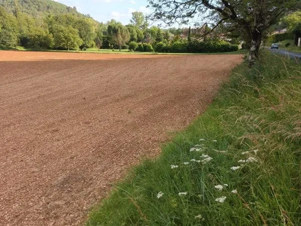 Terrain agricole