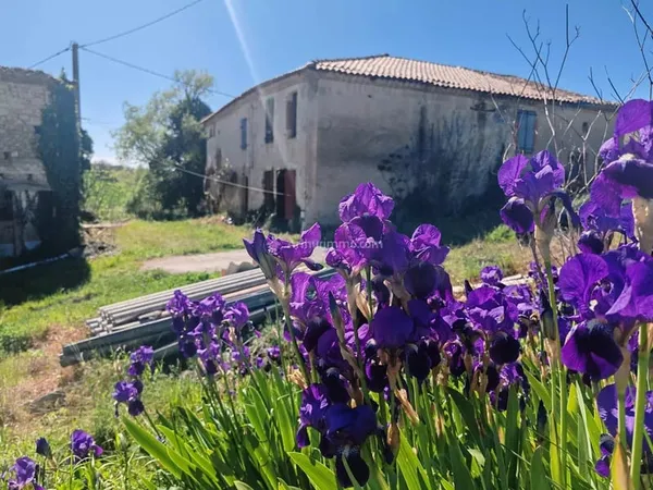 Ferme en pierre à rénover - 6 pièces à Florentin
