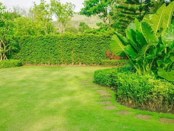 Terrain 752 m²