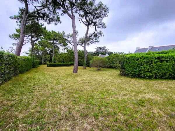 Terrain 654 m²