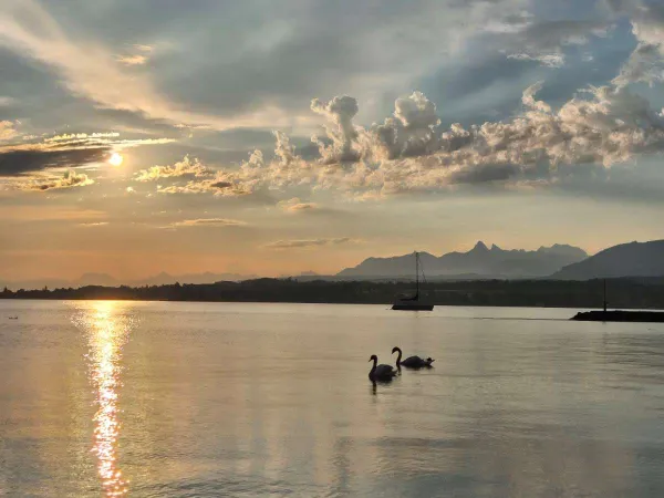 MURS COMMERCIAUX A VENDRE - BORD DU LAC LEMAN