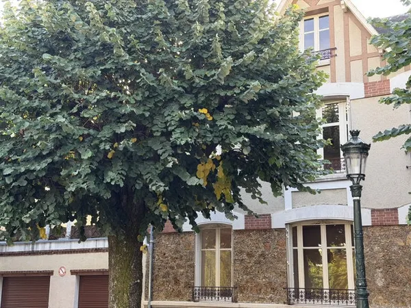 ORLEANS-Parc Pasteur- Maison bourgeoise de 200m2 environ.