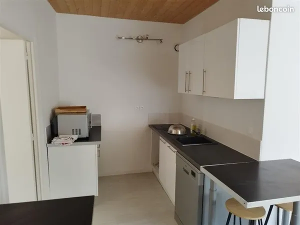 Appartement T2 meublé 60 m² terrasse 40 m²