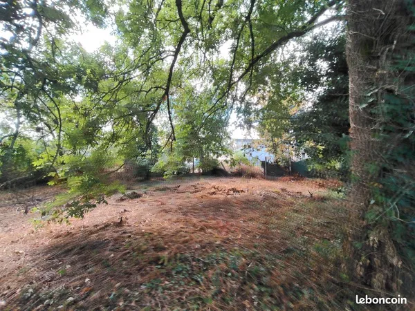 Terrain constructible