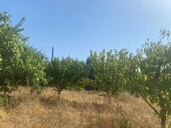 Terrain 500 m²