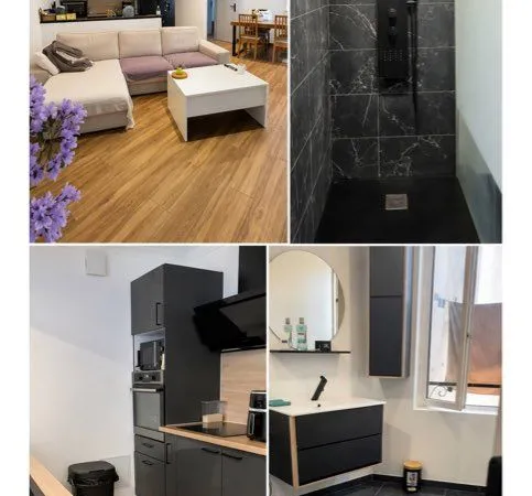 Appartement T3 entièrement rénové et meublé - Castres
