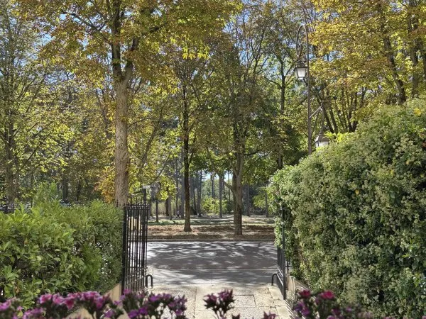 Vends appartement