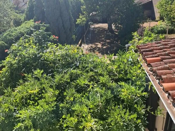 780 Maison 110 M2 Jardin Saint Amour 39160 5 min Gare