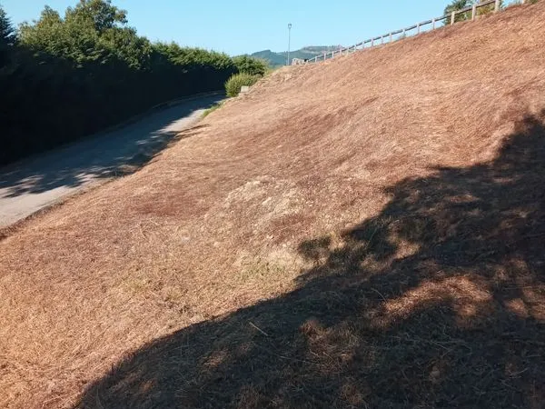 Terrain avec une source