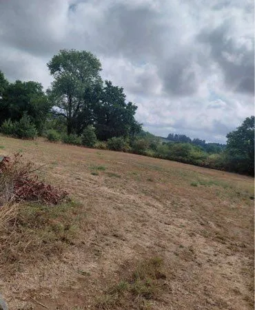 Terrain agricole