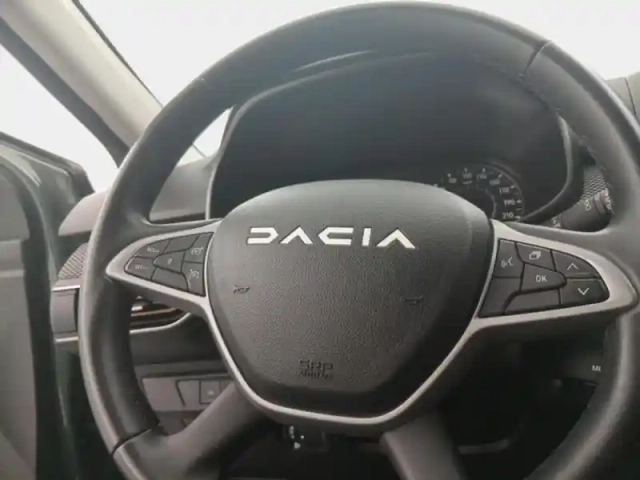 Dacia Sandero 1.0 eco-g 100ch stepway expression — photo 15