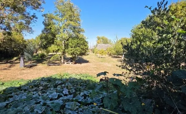 Terrain 500 m²