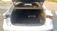 Renault Rafale 1.2 E-Tech full hybrid 200ch esprit Alpine — photo 14
