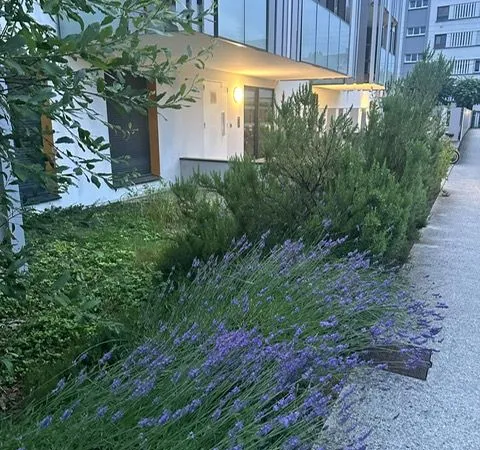 Location appartement loi pinel 2 pieces talence