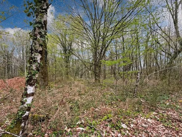 Terrain 1996 m²