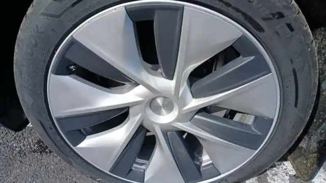 Tesla Model Y standard rwd — photo 13