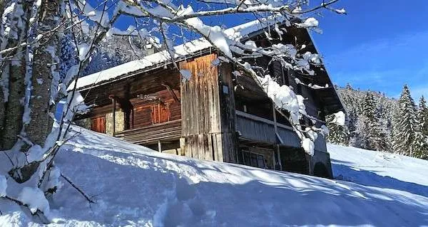 Chalet 250 m²
