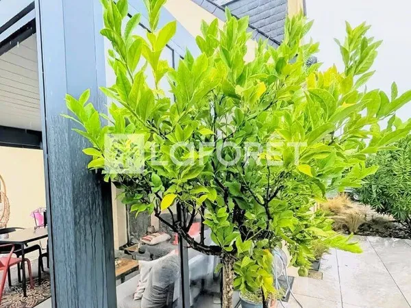 Maison 6 pièces 140 m²